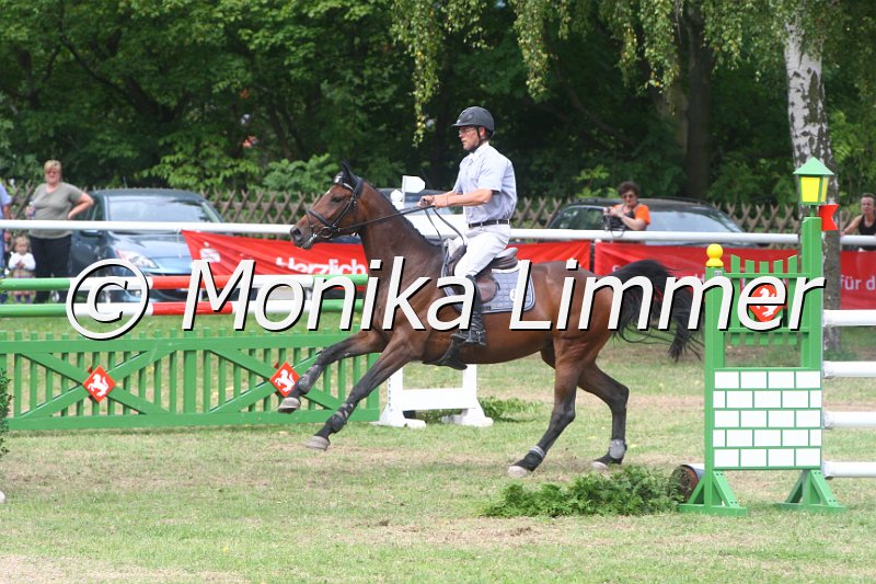 308M5057_TH Zarah_Springpferde Mx.JPG